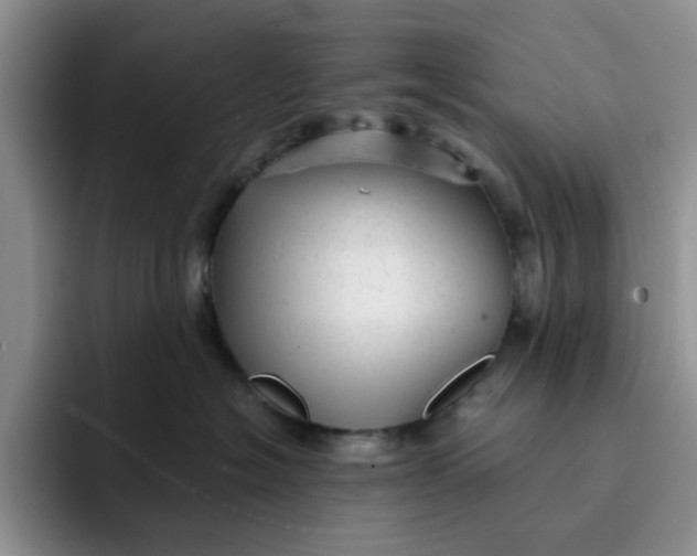 X0000091720574200709141208