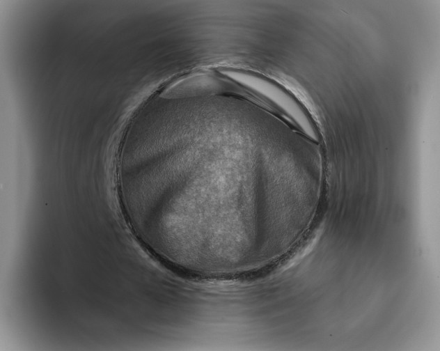 X0000091720577200709141207