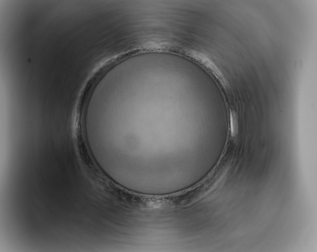 X0000091720579200709141207