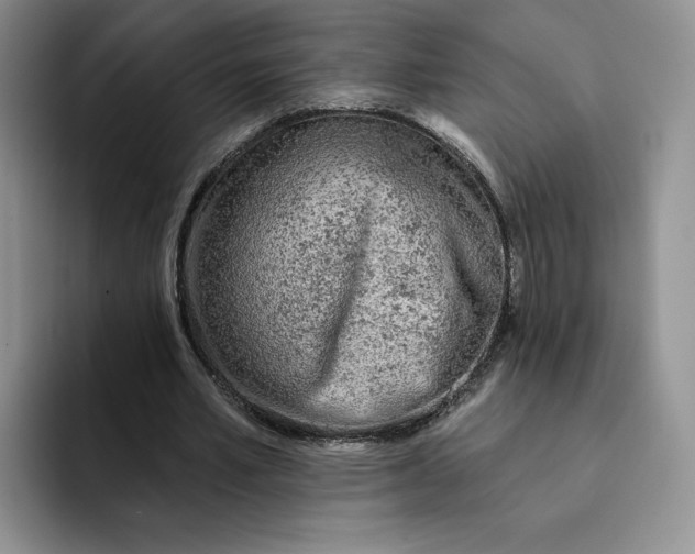 X0000091720581200709141207