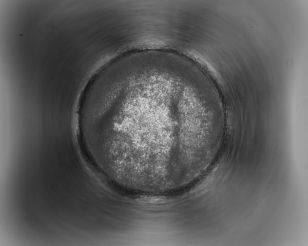 X0000091720582200709141207