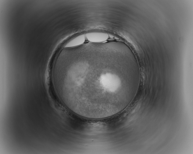 X0000091720583200709141207