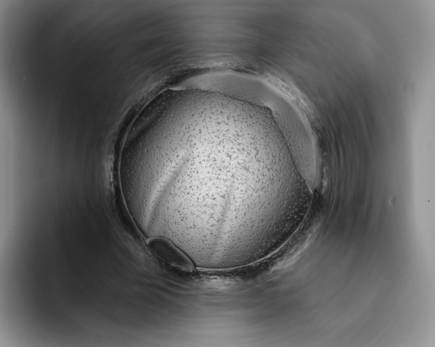 X0000091720585200709141207