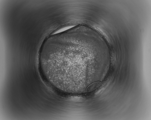 X0000091720586200709141207