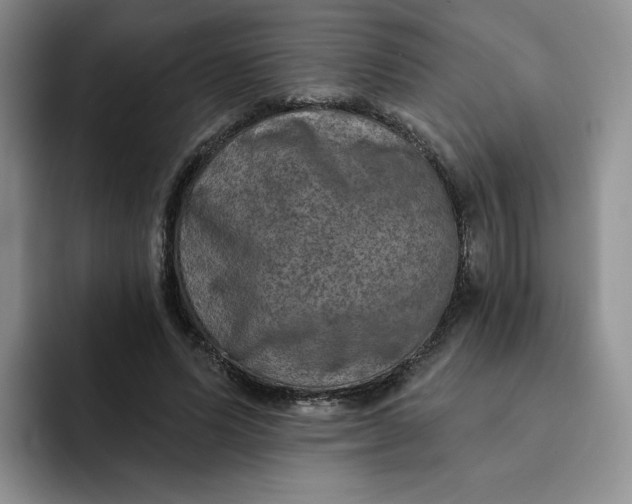 X0000091720591200709141207