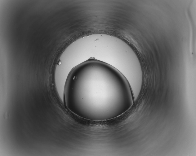 X0000091720593200709141207