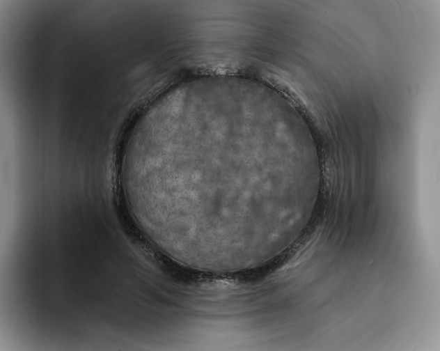 X0000091720594200709141207