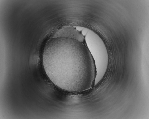 X0000091720595200709141207