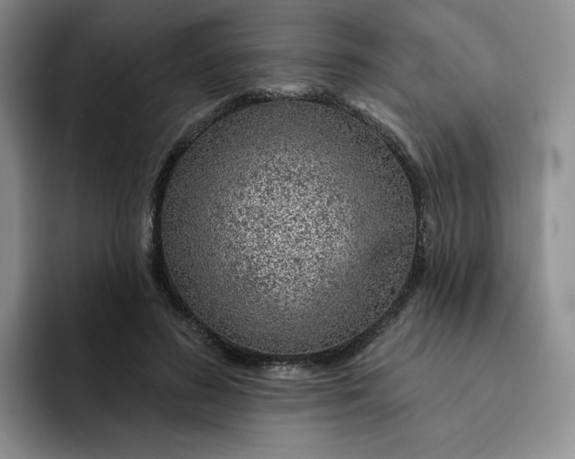 X0000091720596200709141207