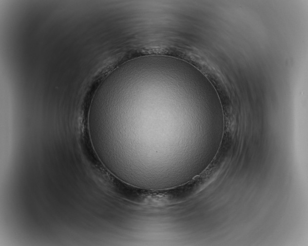 X0000091720599200709141207