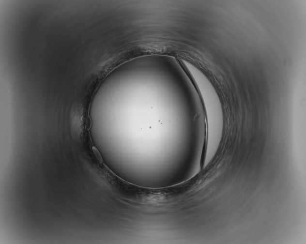 X0000091720600200709141207