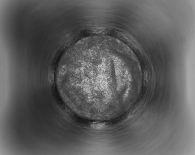 X0000091720602200709141207