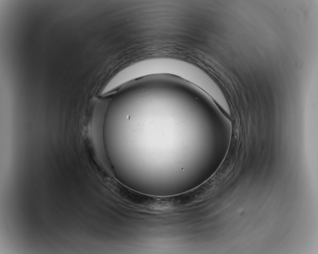 X0000091720604200709141207