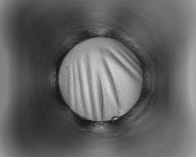 X0000091720612200709141207