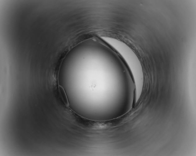 X0000091720613200709141207