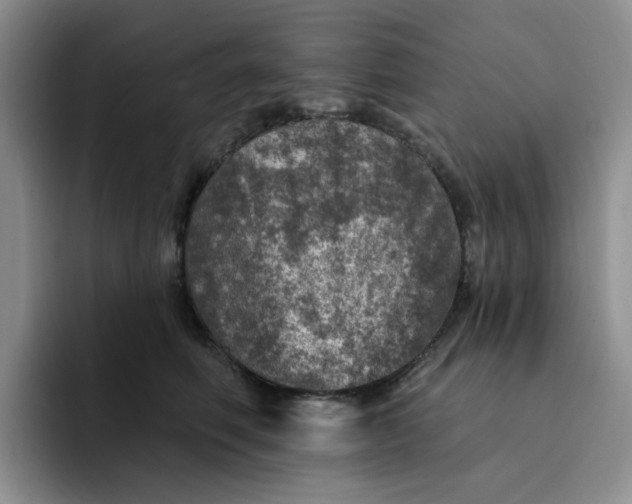 X0000091720614200709141207