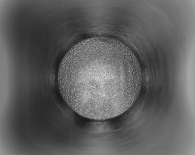 X0000091720615200709141207