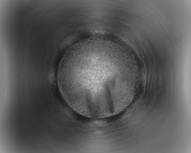 X0000091720619200709141207