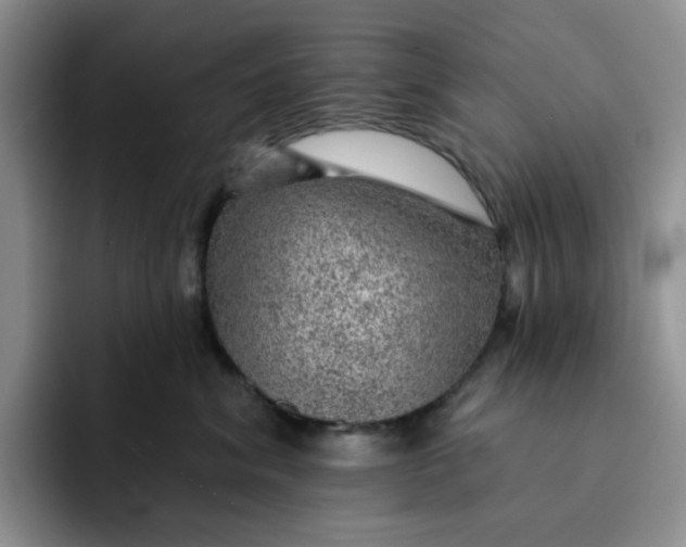 X0000091720620200709141207