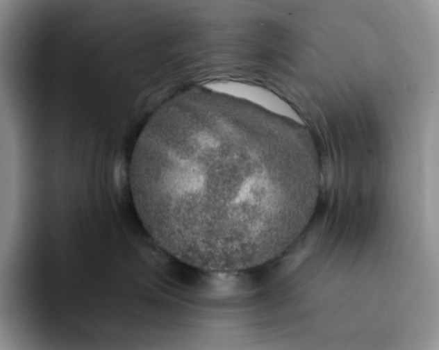 X0000091720623200709141207