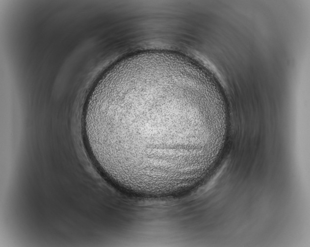 X0000091720625200709141206