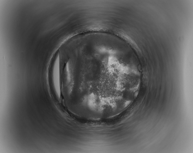 X0000091720626200709141206