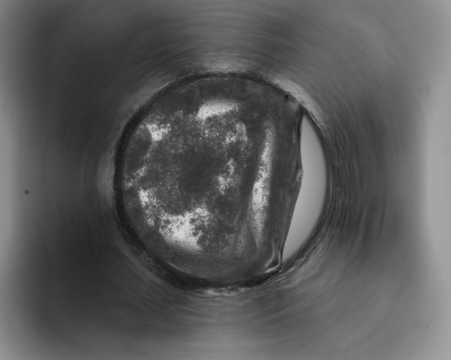 X0000091720627200709141206