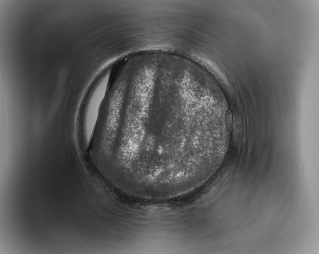 X0000091720628200709141206