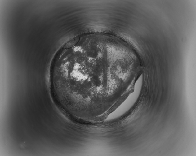 X0000091720630200709141206