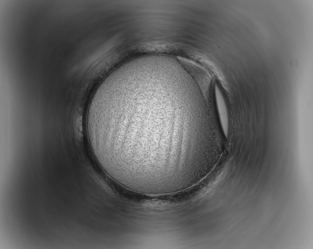 X0000091720633200709141206