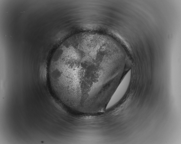 X0000091720637200709141206