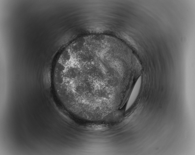 X0000091720638200709141206