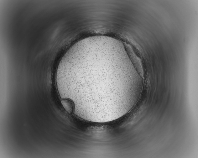 X0000091720639200709141206