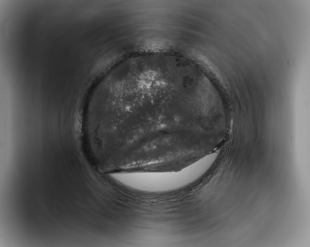 X0000091720640200709141206