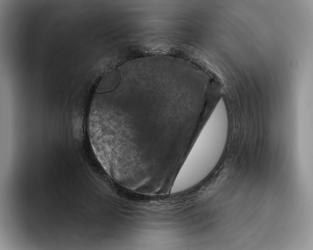 X0000091720641200709141206