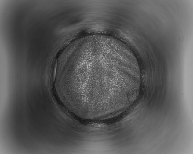 X0000091720642200709141206