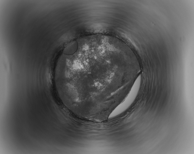 X0000091720643200709141206