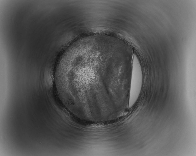 X0000091720644200709141206