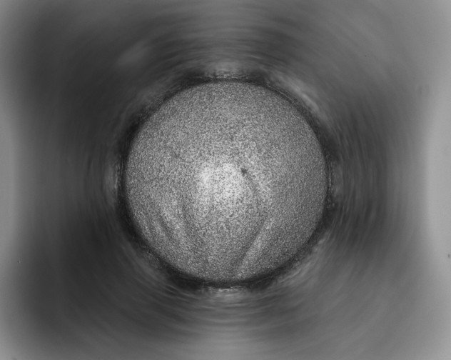 X0000091720645200709141206