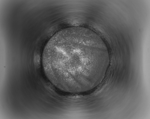 X0000091720646200709141206