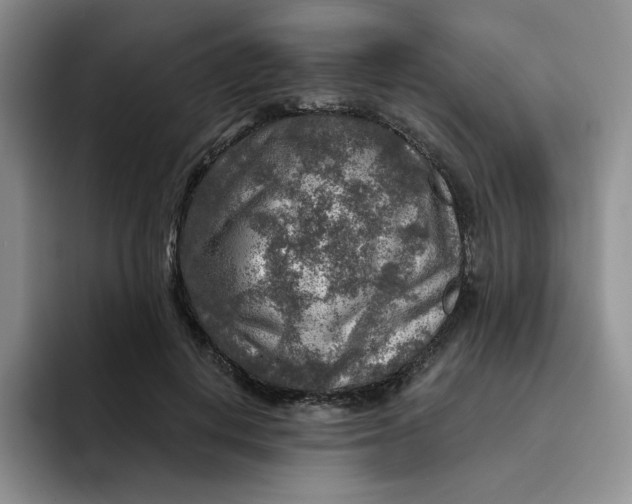 X0000091720648200709141206