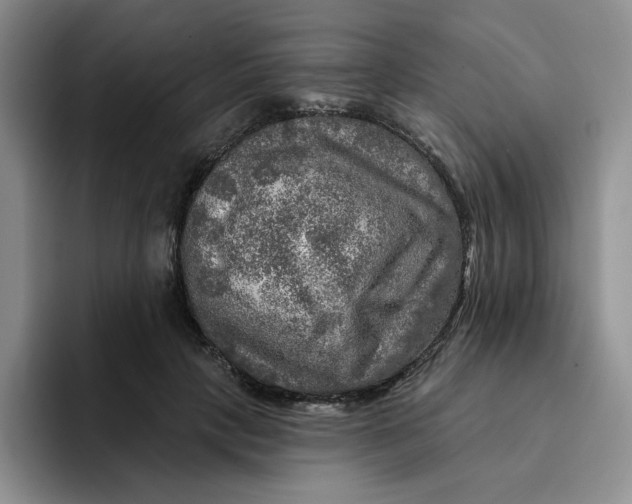 X0000091720649200709141206