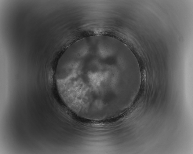 X0000091720650200709141206