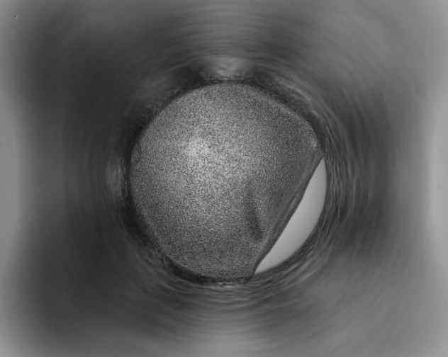 X0000091720651200709141206