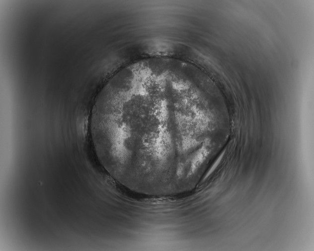 X0000091720652200709141206