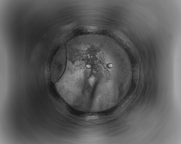 X0000091720653200709141206