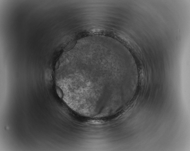 X0000091720654200709141206