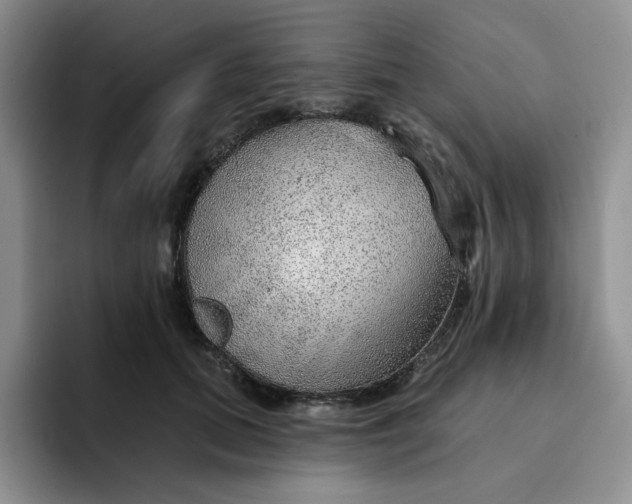 X0000091720655200709141206