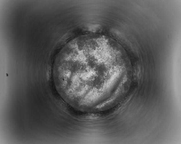 X0000091720656200709141206