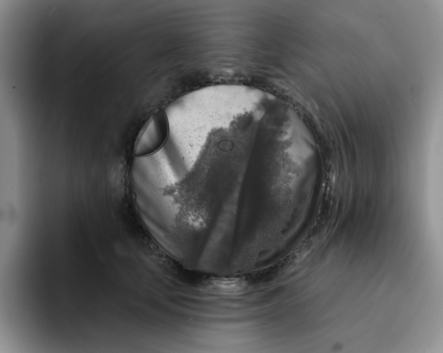 X0000091720659200709141206